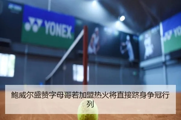 鲍威尔盛赞字母哥若加盟热火将直接跻身争冠行列 - SANYI