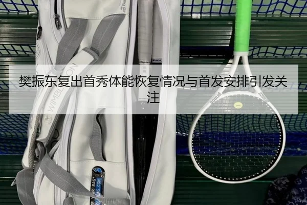 樊振东复出首秀体能恢复情况与首发安排引发关注(SANYI)